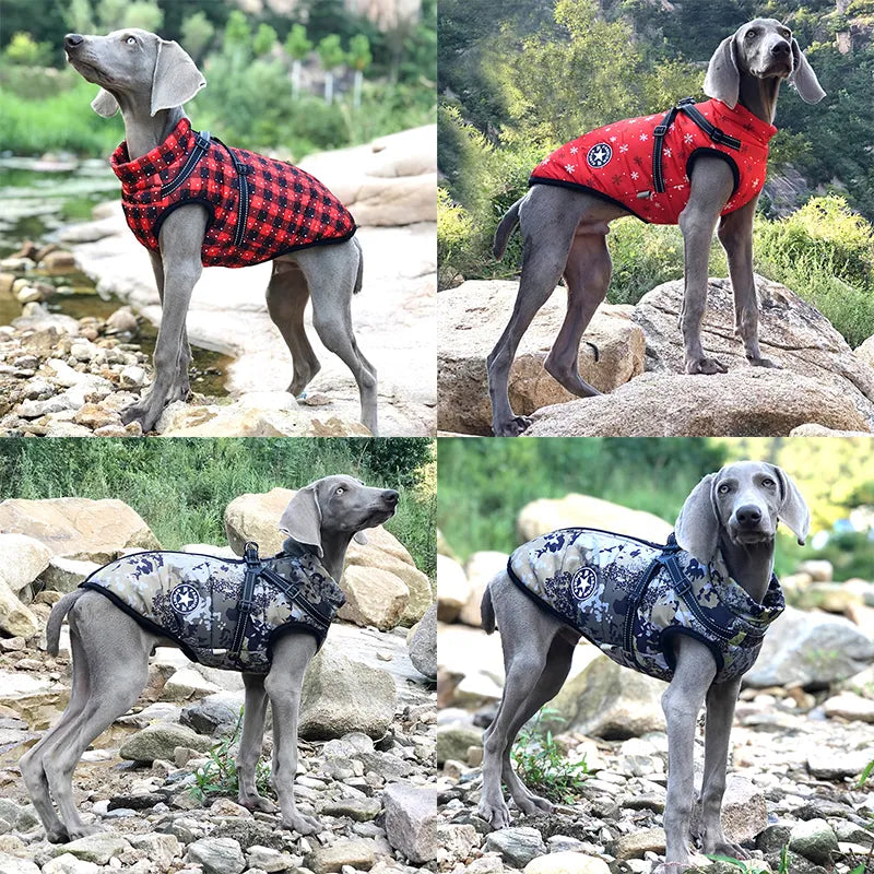 DoggyJacket- The Waterproof Dog Jacket With Harness Strap